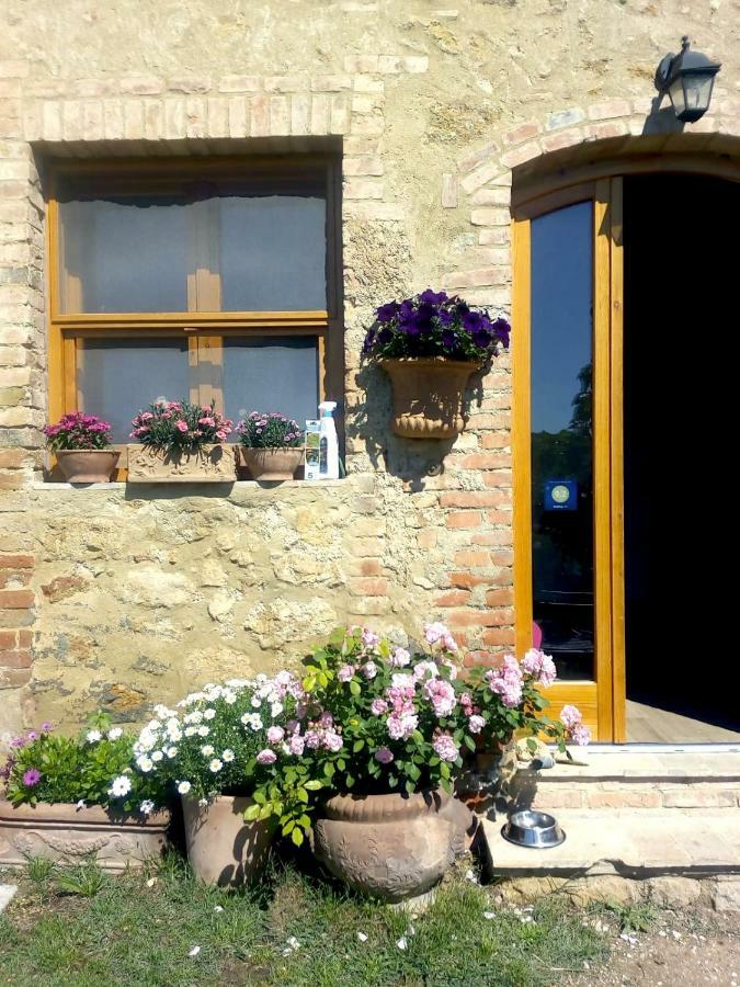 Apartmán Casa Ollie Castel San Gimignano Exteriér fotografie